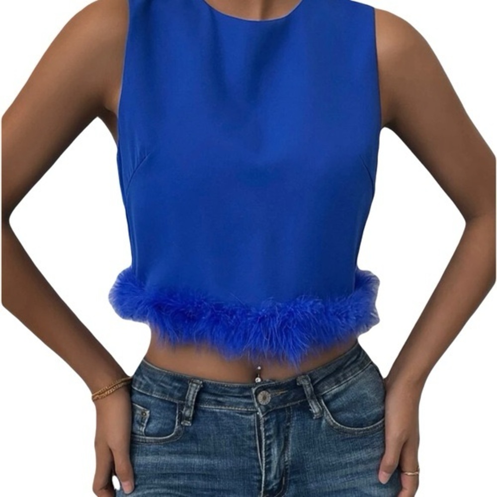 Blue Feather Detailed Top